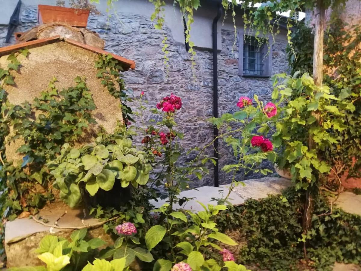 Casale Maria Mafalda Pieve di Teco Экстерьер фото
