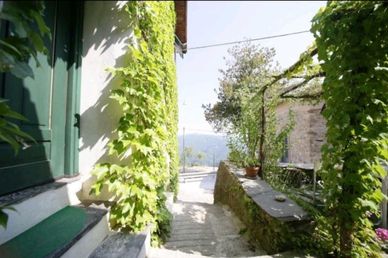 Casale Maria Mafalda Pieve di Teco Экстерьер фото