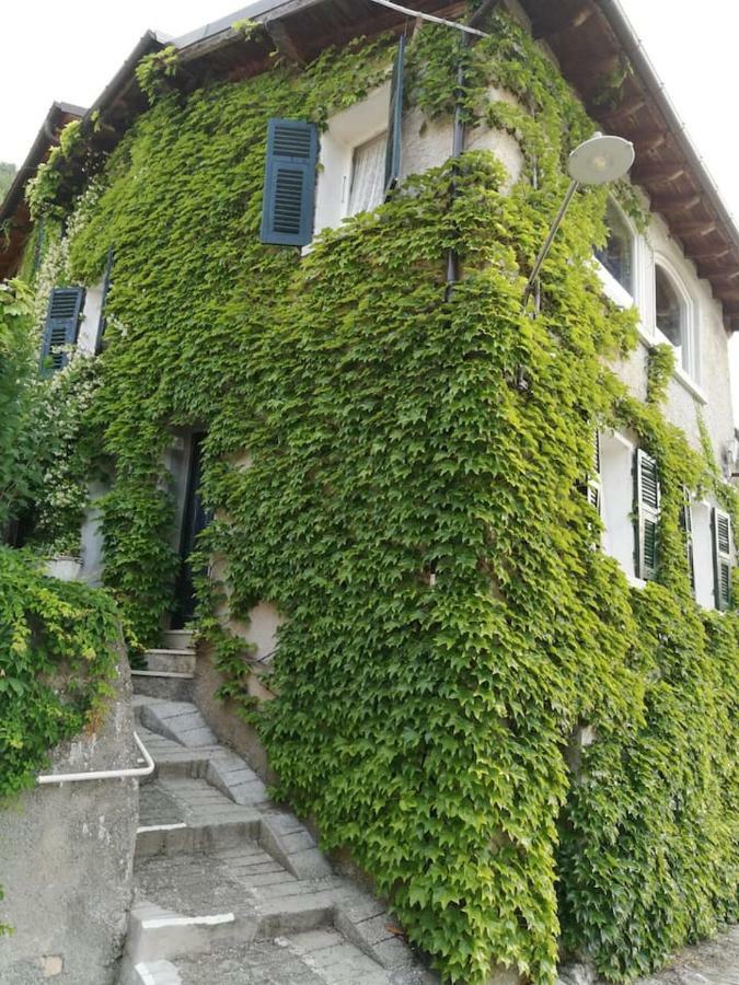 Casale Maria Mafalda Pieve di Teco Экстерьер фото